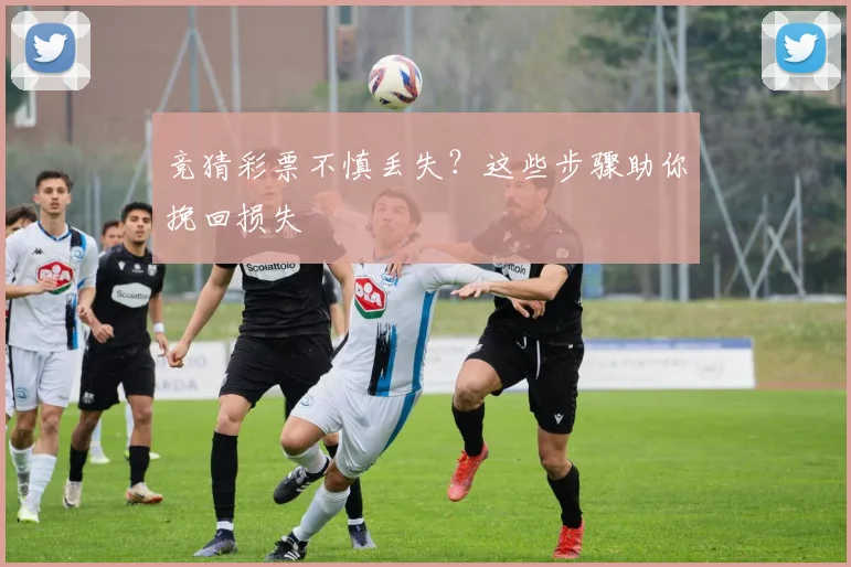 竞猜彩票不慎丢失？这些步骤助你挽回损失