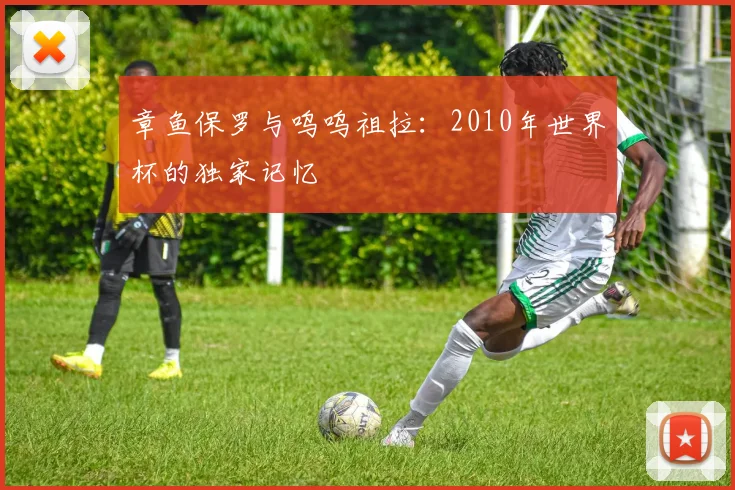 章鱼保罗与呜呜祖拉：2010年世界杯的独家记忆