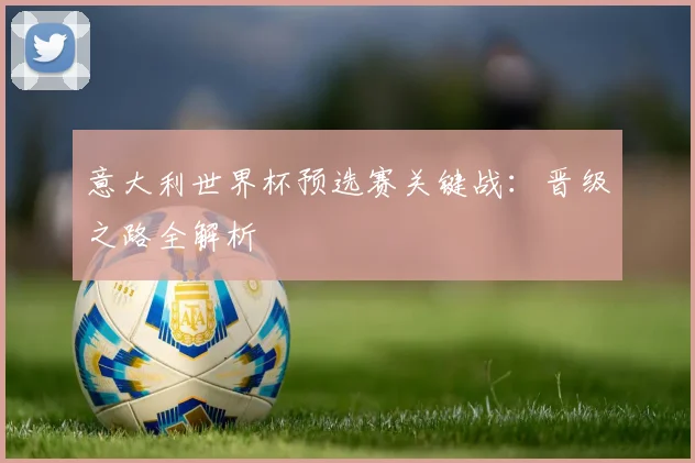 意大利世界杯预选赛关键战：晋级之路全解析
